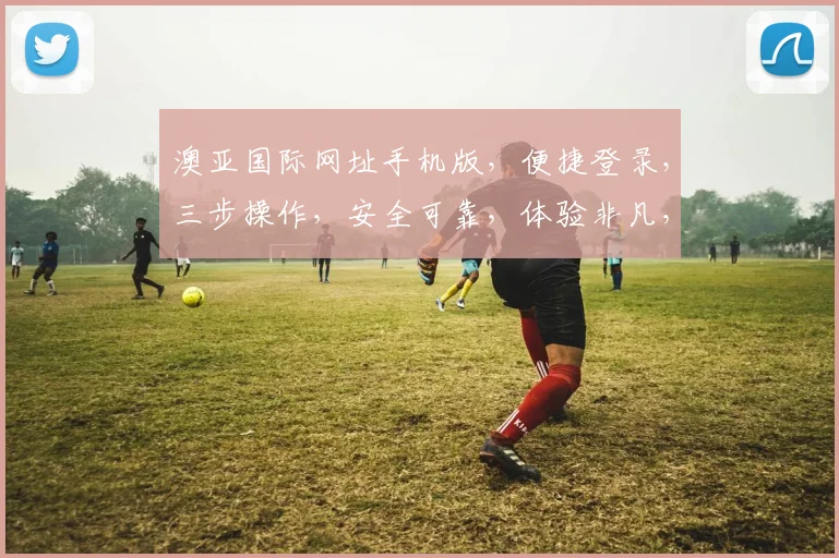 澳亚国际网址手机版，便捷登录，三步操作，安全可靠，体验非凡，轻松畅游