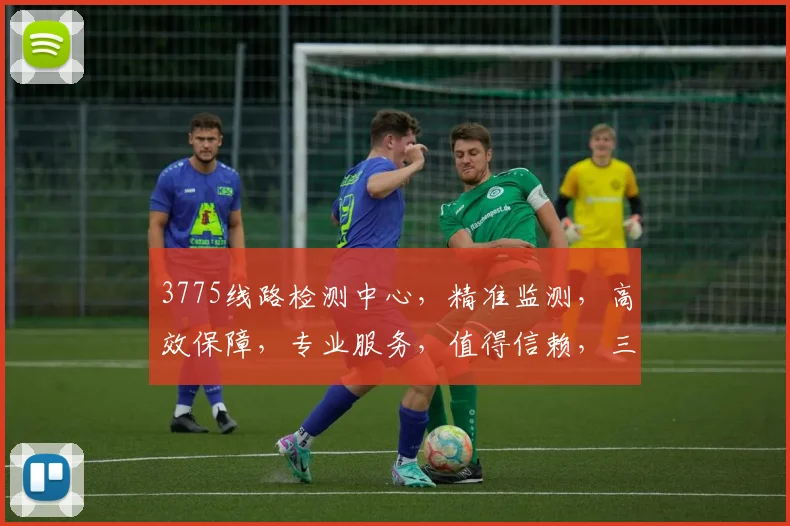 3775线路检测中心，精准监测，高效保障，专业服务，值得信赖，三大亮点凸显
